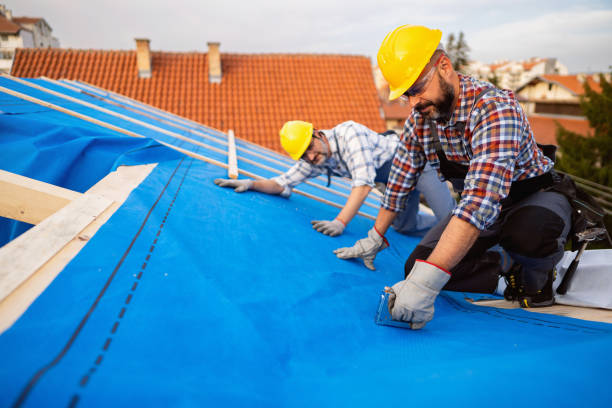 Quick and Trustworthy Emergency Roof Repair Services in Gardnerville Ranchos, NV